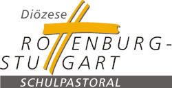 ds logo